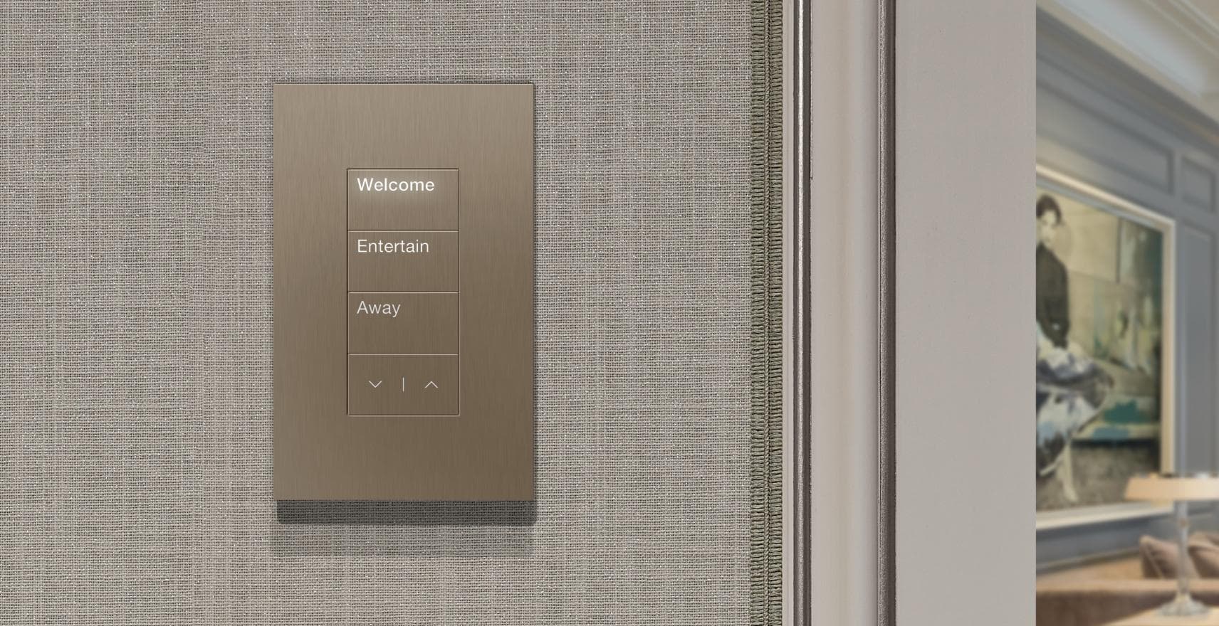 Control4 and Lutron lighting in a Leawood home